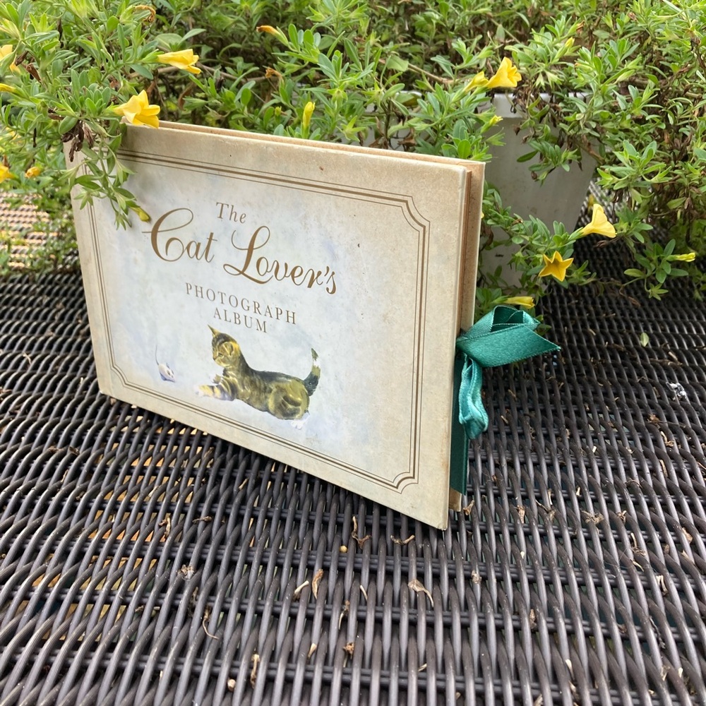 Vintage Colour Library books cat photograph album